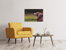 Laden Sie das Bild in den Galerie-Viewer, Leinwandbild Wachsamer Adler