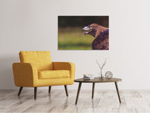 Laden Sie das Bild in den Galerie-Viewer, Leinwandbild Wachsamer Adler