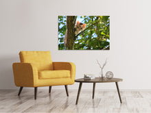 Laden Sie das Bild in den Galerie-Viewer, Leinwandbild Süsses Katzen Kind