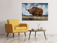 Laden Sie das Bild in den Galerie-Viewer, Leinwandbild Achtung Stier!