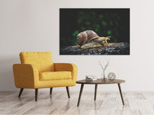 Laden Sie das Bild in den Galerie-Viewer, Leinwandbild Schnecke XXL