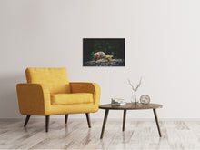 Laden Sie das Bild in den Galerie-Viewer, Leinwandbild Schnecke XXL