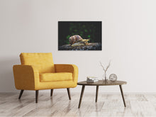 Laden Sie das Bild in den Galerie-Viewer, Leinwandbild Schnecke XXL