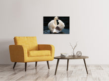Laden Sie das Bild in den Galerie-Viewer, Leinwandbild Mama und Baby Schwan