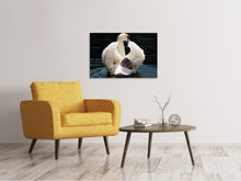 Laden Sie das Bild in den Galerie-Viewer, Leinwandbild Mama und Baby Schwan