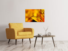 Laden Sie das Bild in den Galerie-Viewer, Leinwandbild Tropfen Close up
