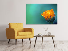 Laden Sie das Bild in den Galerie-Viewer, Leinwandbild Ringelblume im Morgentau