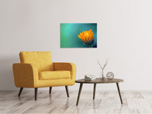 Laden Sie das Bild in den Galerie-Viewer, Leinwandbild Ringelblume im Morgentau
