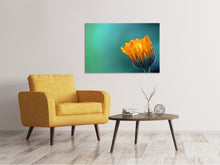 Laden Sie das Bild in den Galerie-Viewer, Leinwandbild Ringelblume im Morgentau