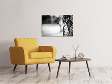 Laden Sie das Bild in den Galerie-Viewer, Leinwandbild Birken Stamm