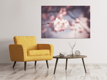 Laden Sie das Bild in den Galerie-Viewer, Leinwandbild Blüte XL