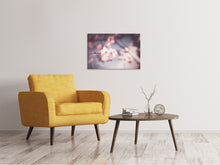 Laden Sie das Bild in den Galerie-Viewer, Leinwandbild Blüte XL