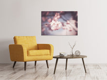 Laden Sie das Bild in den Galerie-Viewer, Leinwandbild Blüte XL