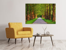Laden Sie das Bild in den Galerie-Viewer, Leinwandbild Schöne Allee in der Natur