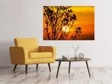 Laden Sie das Bild in den Galerie-Viewer, Leinwandbild Ein Strauch im Sonnenuntergang
