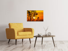 Laden Sie das Bild in den Galerie-Viewer, Leinwandbild Ein Strauch im Sonnenuntergang