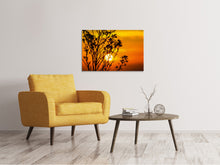 Laden Sie das Bild in den Galerie-Viewer, Leinwandbild Ein Strauch im Sonnenuntergang