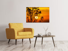 Laden Sie das Bild in den Galerie-Viewer, Leinwandbild Ein Strauch im Sonnenuntergang