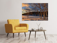 Laden Sie das Bild in den Galerie-Viewer, Leinwandbild Birken im Winter