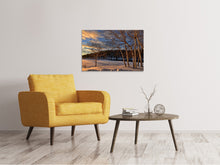 Laden Sie das Bild in den Galerie-Viewer, Leinwandbild Birken im Winter