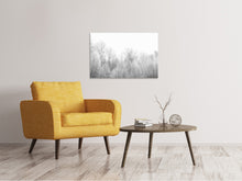 Laden Sie das Bild in den Galerie-Viewer, Leinwandbild Birken im Schnee