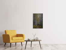 Laden Sie das Bild in den Galerie-Viewer, Leinwandbild Birken Allee
