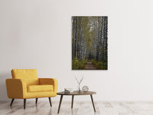 Laden Sie das Bild in den Galerie-Viewer, Leinwandbild Birken Allee
