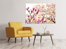 Laden Sie das Bild in den Galerie-Viewer, Leinwandbild Schöne Magnolien XL