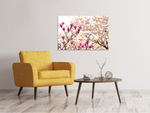 Laden Sie das Bild in den Galerie-Viewer, Leinwandbild Schöne Magnolien XL