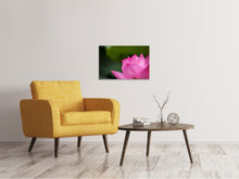 Laden Sie das Bild in den Galerie-Viewer, Leinwandbild Marko Lotus in pink