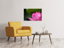 Laden Sie das Bild in den Galerie-Viewer, Leinwandbild Marko Lotus in pink