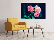 Laden Sie das Bild in den Galerie-Viewer, Leinwandbild Schöne Rosa Rosen