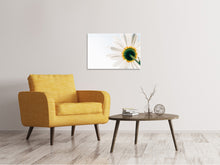Laden Sie das Bild in den Galerie-Viewer, Leinwandbild Ein Gänseblümchen