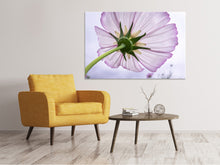 Laden Sie das Bild in den Galerie-Viewer, Leinwandbild Die Kosmos Blume