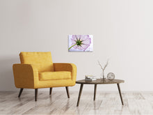 Laden Sie das Bild in den Galerie-Viewer, Leinwandbild Die Kosmos Blume