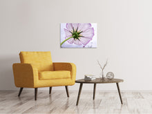 Laden Sie das Bild in den Galerie-Viewer, Leinwandbild Die Kosmos Blume