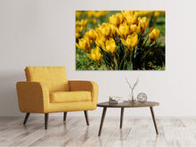 Laden Sie das Bild in den Galerie-Viewer, Leinwandbild Krokusse im Frühling