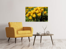 Laden Sie das Bild in den Galerie-Viewer, Leinwandbild Krokusse im Frühling