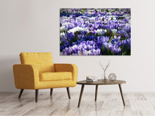 Laden Sie das Bild in den Galerie-Viewer, Leinwandbild Ein Feld voll Krokusse