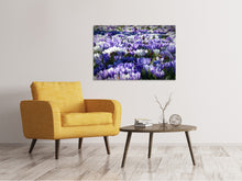 Laden Sie das Bild in den Galerie-Viewer, Leinwandbild Ein Feld voll Krokusse
