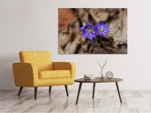 Laden Sie das Bild in den Galerie-Viewer, Leinwandbild Wildblumen