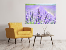 Laden Sie das Bild in den Galerie-Viewer, Leinwandbild Die Lavendelblüte