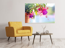 Laden Sie das Bild in den Galerie-Viewer, Leinwandbild Die Fuchsien
