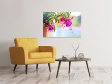 Laden Sie das Bild in den Galerie-Viewer, Leinwandbild Die Fuchsien