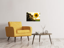 Laden Sie das Bild in den Galerie-Viewer, Leinwandbild Sonnenblume im Sonnenaufgang