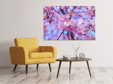 Laden Sie das Bild in den Galerie-Viewer, Leinwandbild Prächtige Kirschblüte