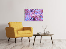 Laden Sie das Bild in den Galerie-Viewer, Leinwandbild Prächtige Kirschblüte