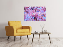 Laden Sie das Bild in den Galerie-Viewer, Leinwandbild Prächtige Kirschblüte
