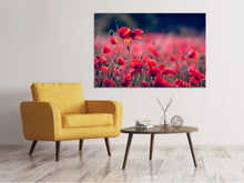 Laden Sie das Bild in den Galerie-Viewer, Leinwandbild Im Mohn Feld