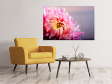 Laden Sie das Bild in den Galerie-Viewer, Leinwandbild Makro Chrysantheme